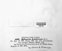 Image Associated With the Occurrence